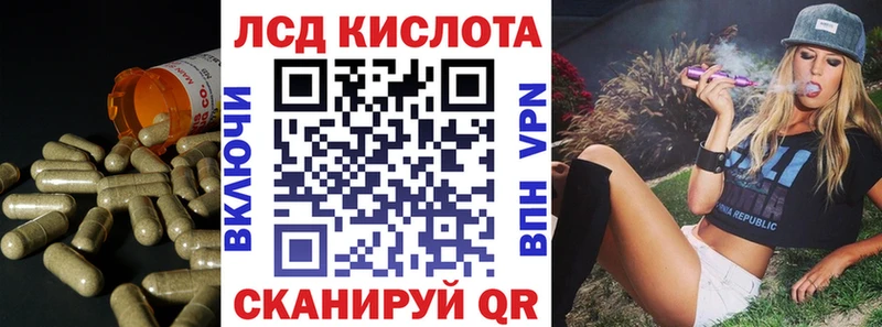 дарнет шоп  Калачинск  Лсд 25 экстази ecstasy 