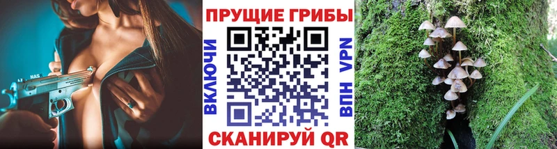 Галлюциногенные грибы Psilocybine cubensis  что такое наркотик  Калачинск 
